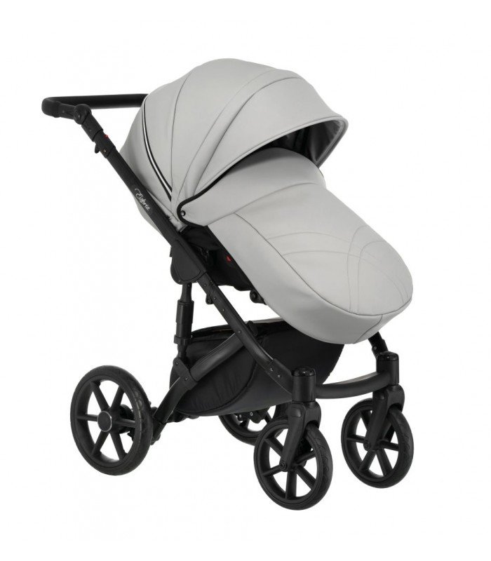 Paradise Baby Euforia S 06 Eco-Leder 2in1 / 3in1 / 4in1 Reisesysteme